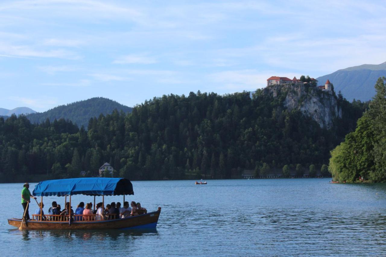 Homestead Zatrnik Near بليد المظهر الخارجي الصورة