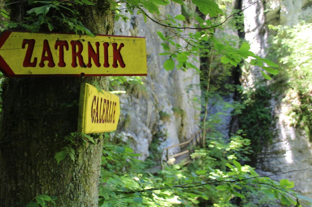 Homestead Zatrnik Near بليد المظهر الخارجي الصورة