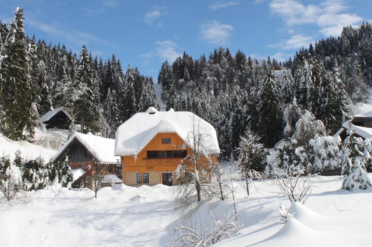 Homestead Zatrnik Near بليد المظهر الخارجي الصورة